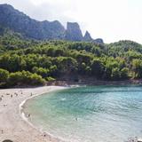 Beach Guide/Map