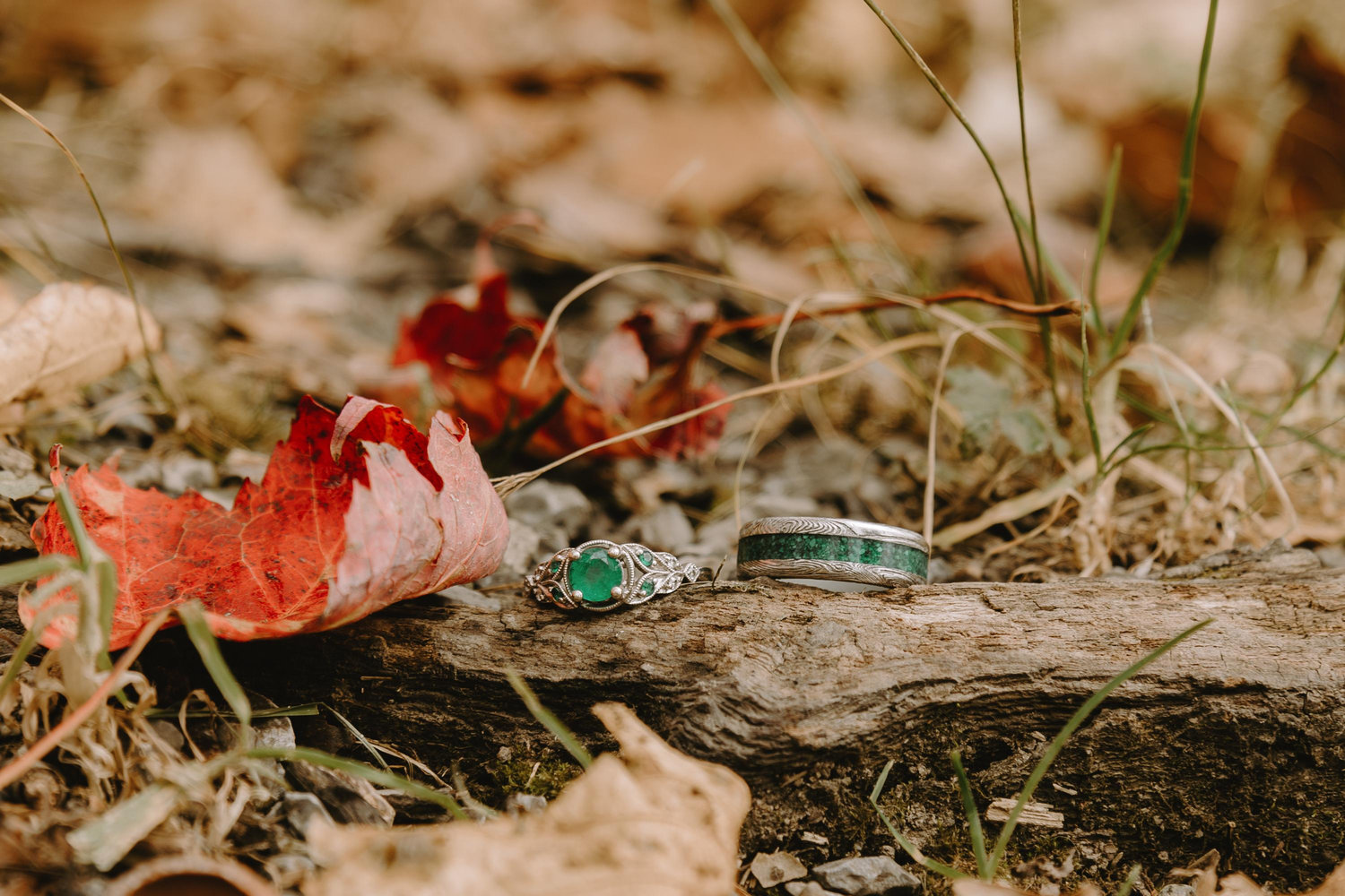 The Wedding Website of Lena Uthe and Andrew Baader