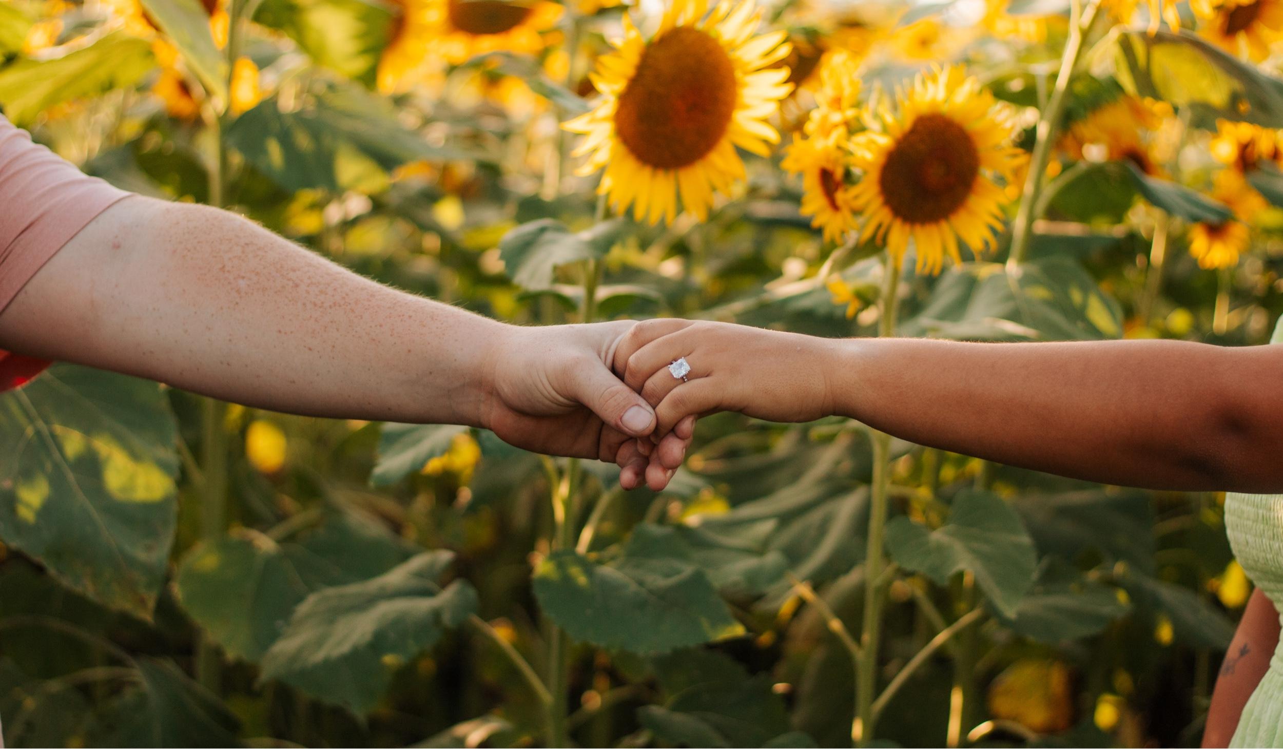 Hero Slideshow Image 4