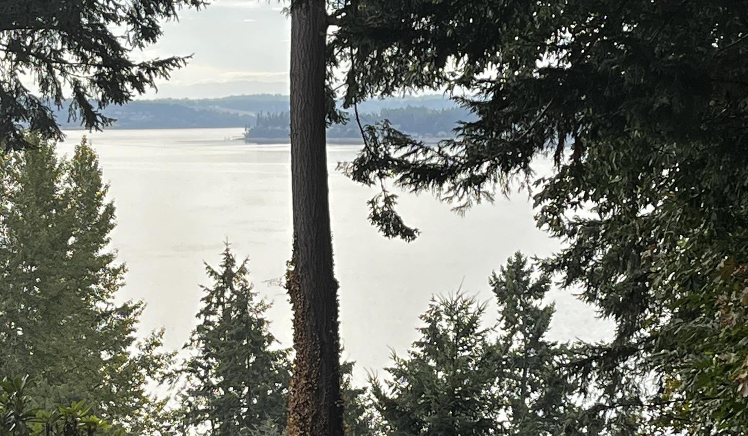 The Wedding Website of Janai Burton and Nalu Stratton