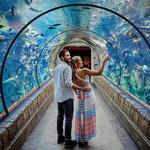 Shark Reef Aquarium at Mandalay Bay
