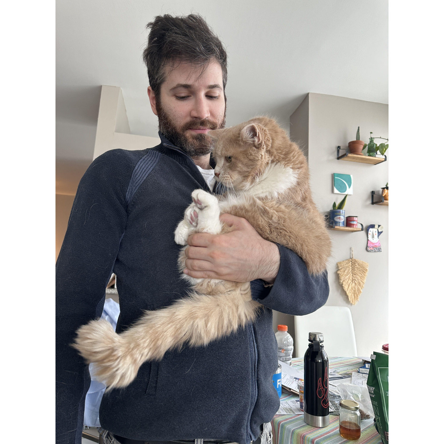 Jason & Trigo