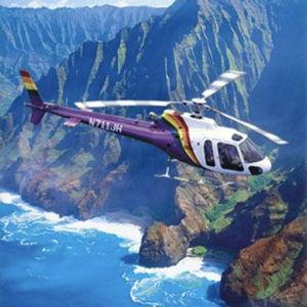 HoneyMoon Helicopter Tour