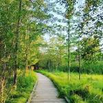 Green Circle Trail