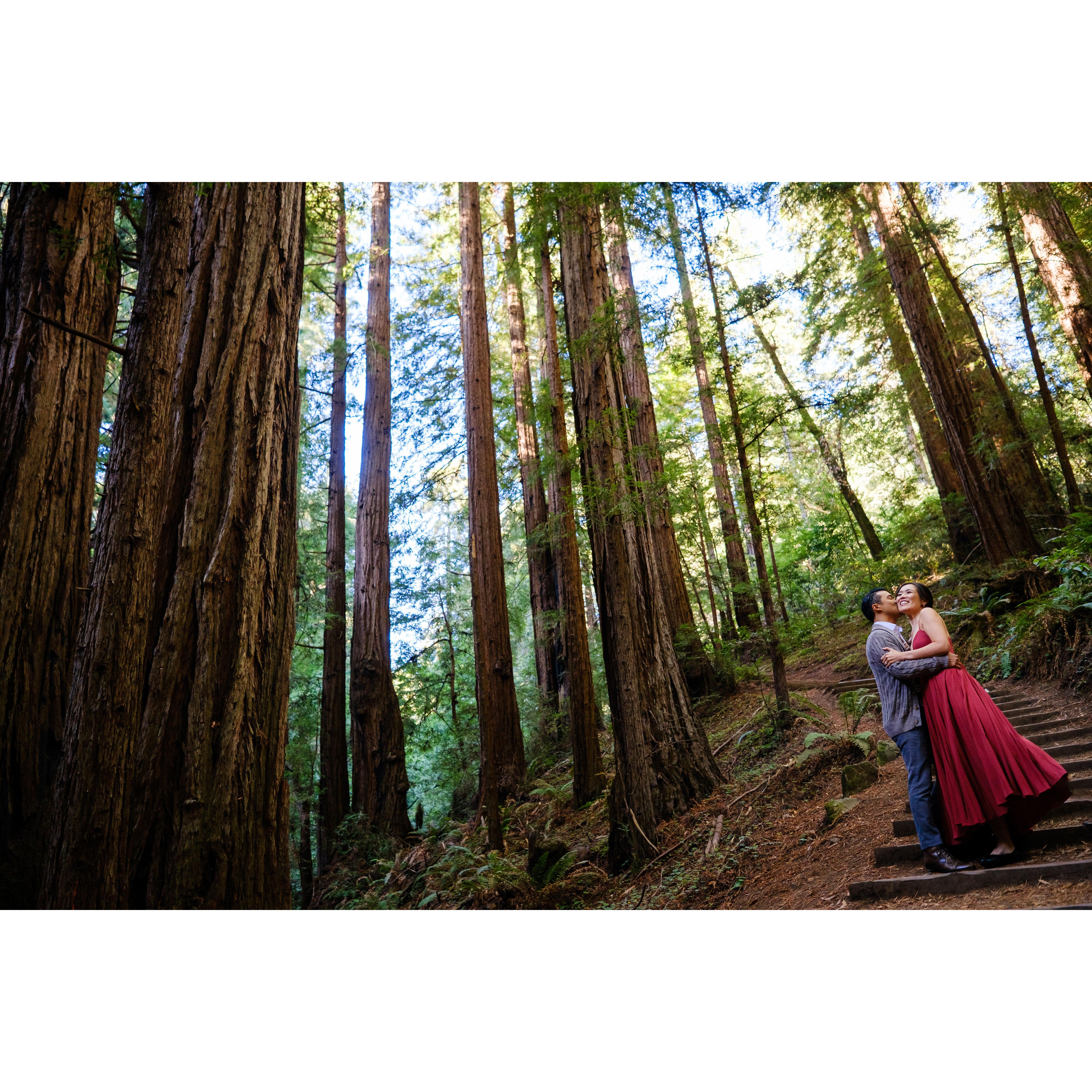 Engagement Photos @ Muir Woods