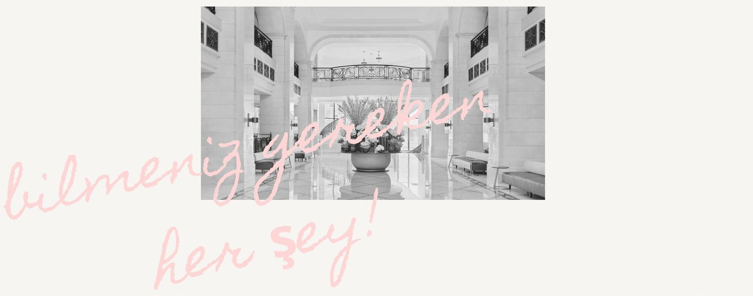 The Wedding Website of Idil Tufekcioglu and Yousef Tamimi
