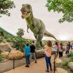 Sternberg Museum of Natural History