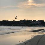 Second Beach