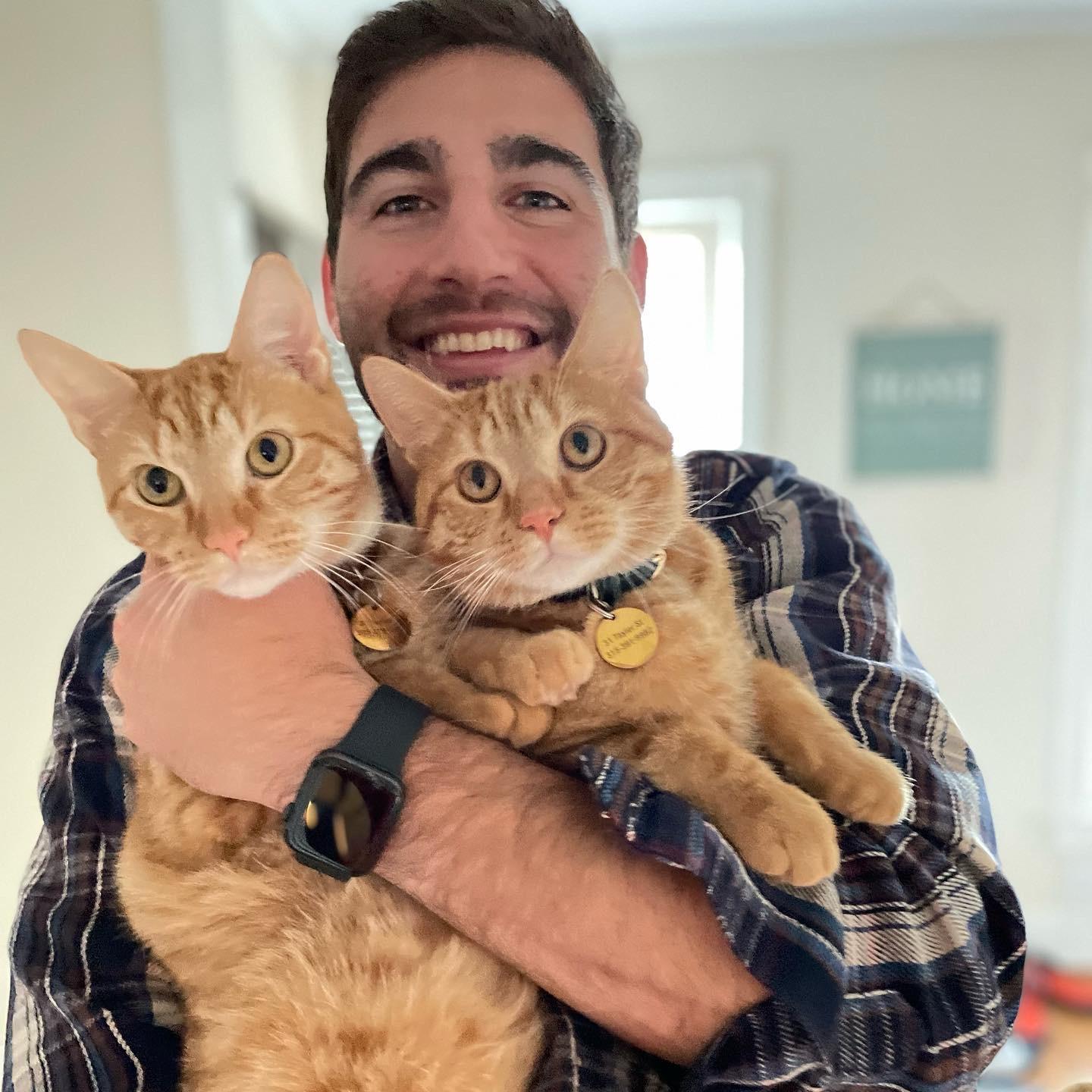 Our cats, Rickie & Eddie.
