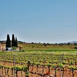 Penedès Region
