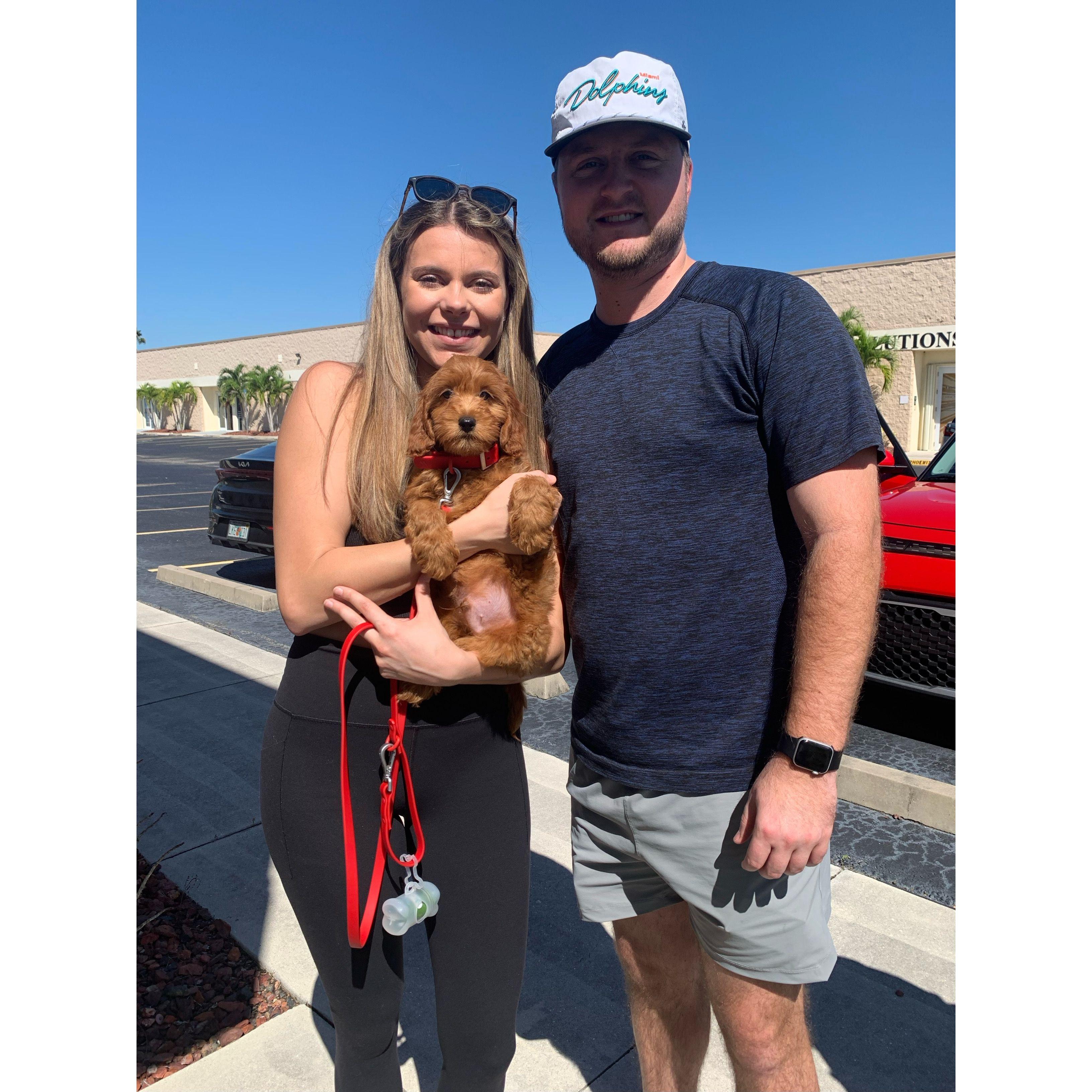 The day we picked up Finn <3