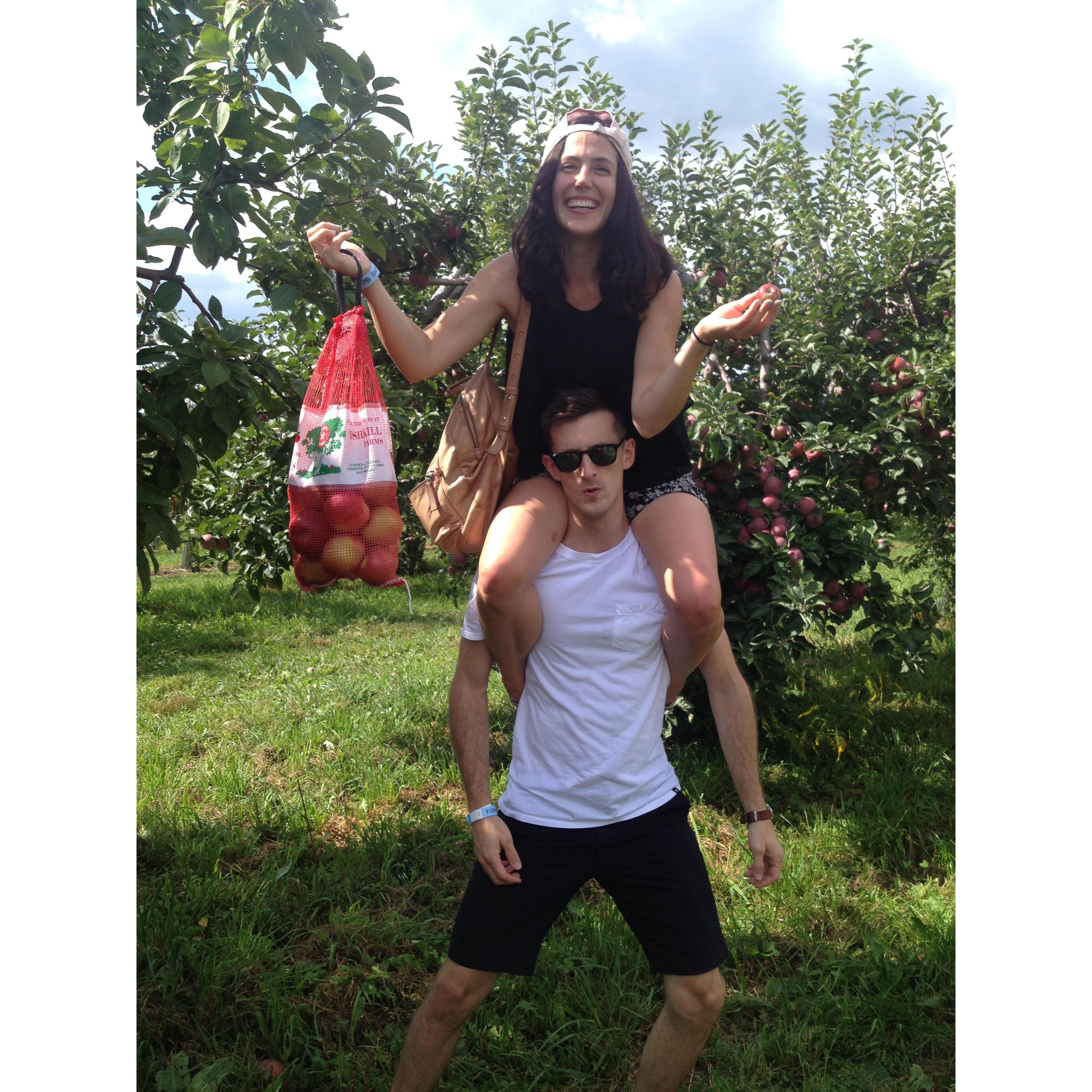 2017 apple picking in upstate NY