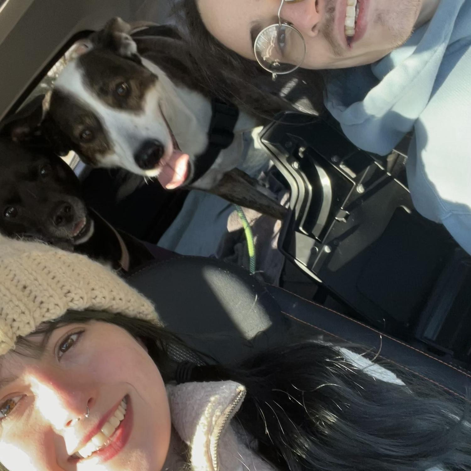Adventure with the dogs 🥾 ❄️