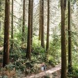 Hoyt Arboretum