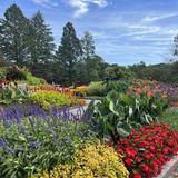 Minnesota Landscape Arboretum