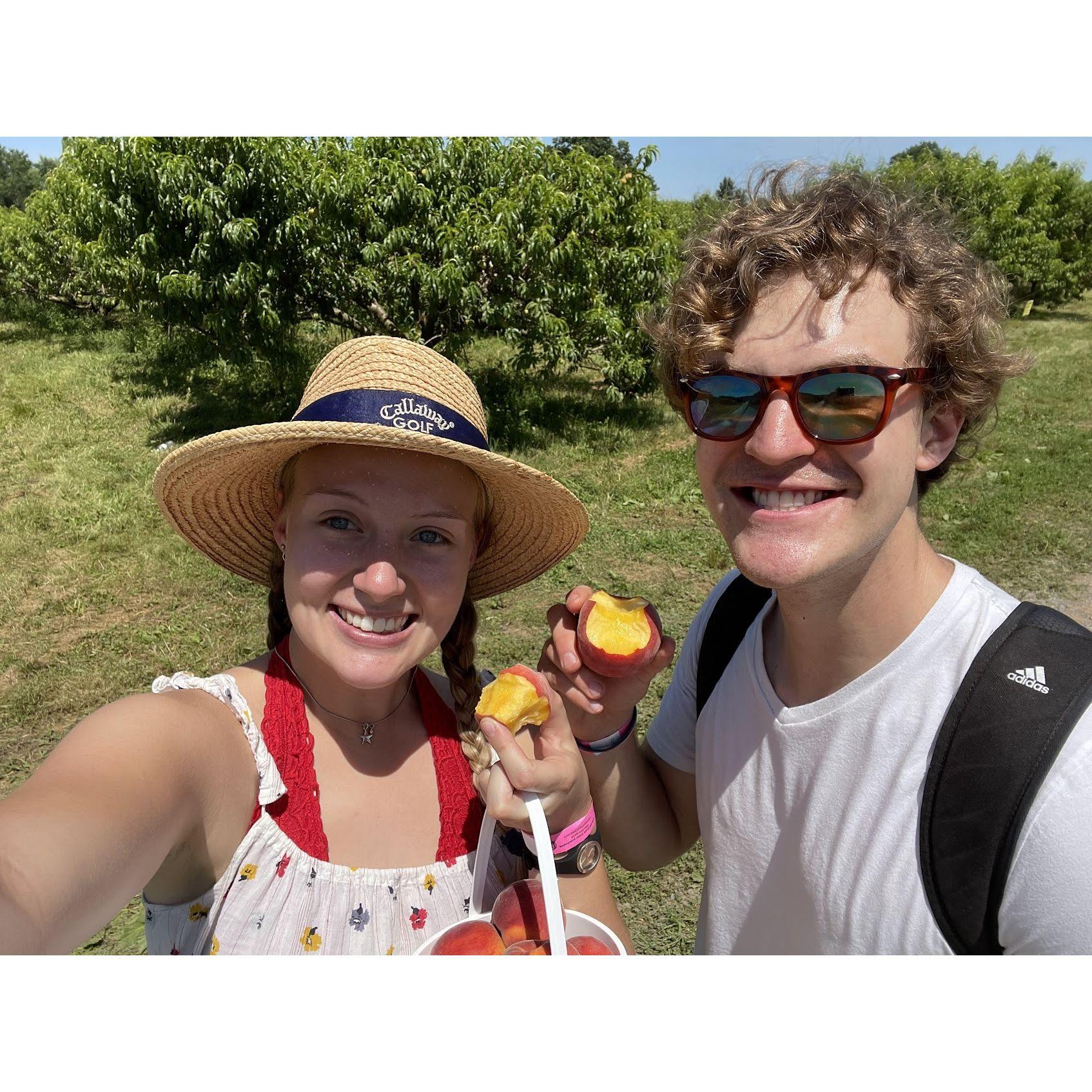 Summer 2022 - Peach Picking at Great Country Farms in Virginia