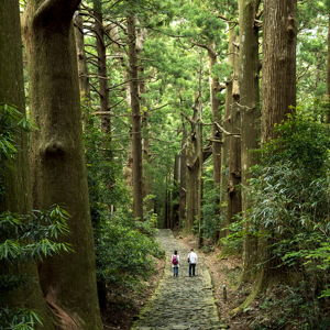 Portage Danny's Luggage on the Kumano Kodo!
