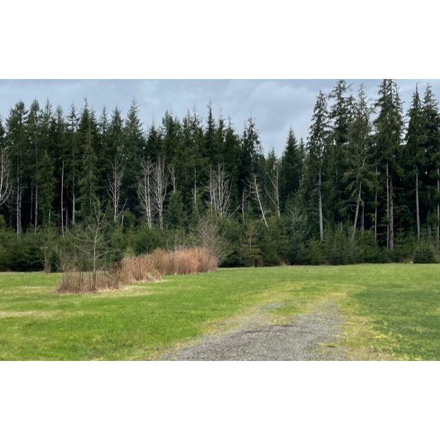 Large grassy area for tent camping or trailers