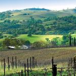 Livermore Valley