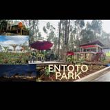 Entoto Park