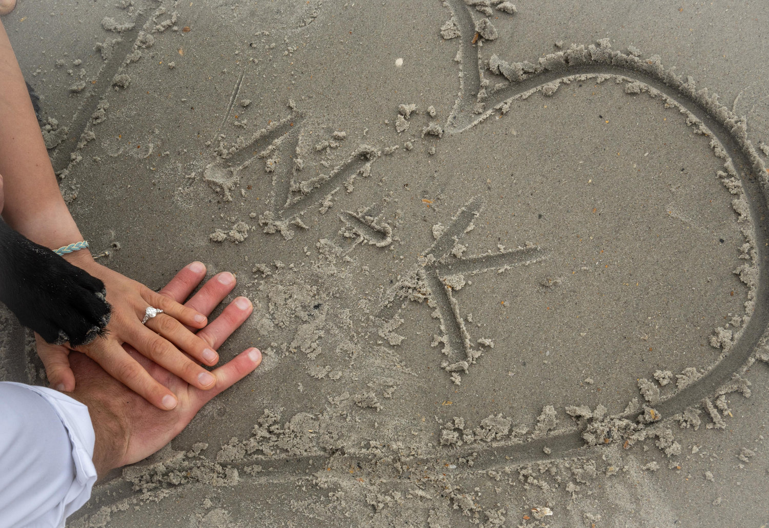The Wedding Website of Kaila Oberhaus and Nicholas Campbell