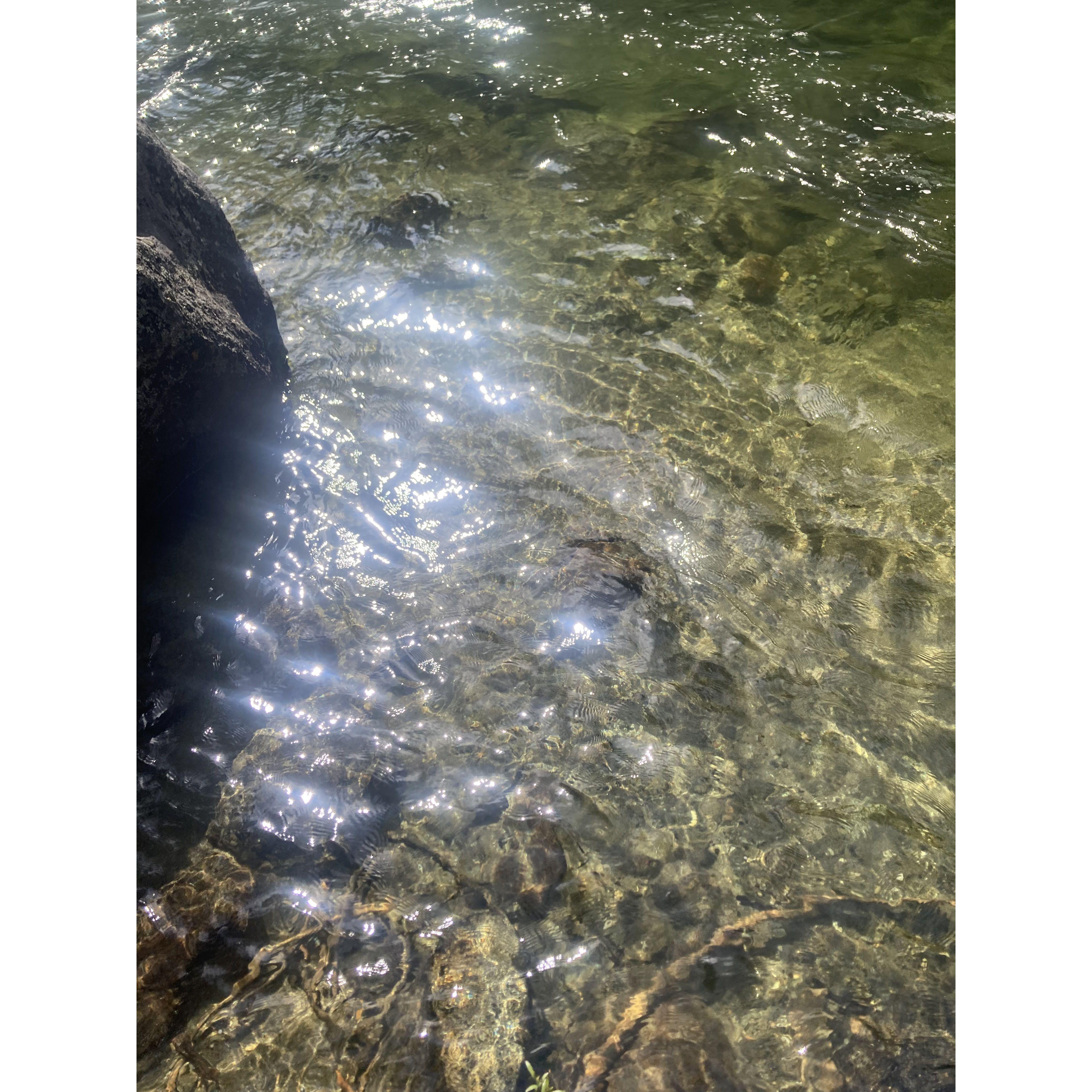 We met by a river, and we still share a special love of rivers! They bring a special kind of love and beuty when we get to be around and in them