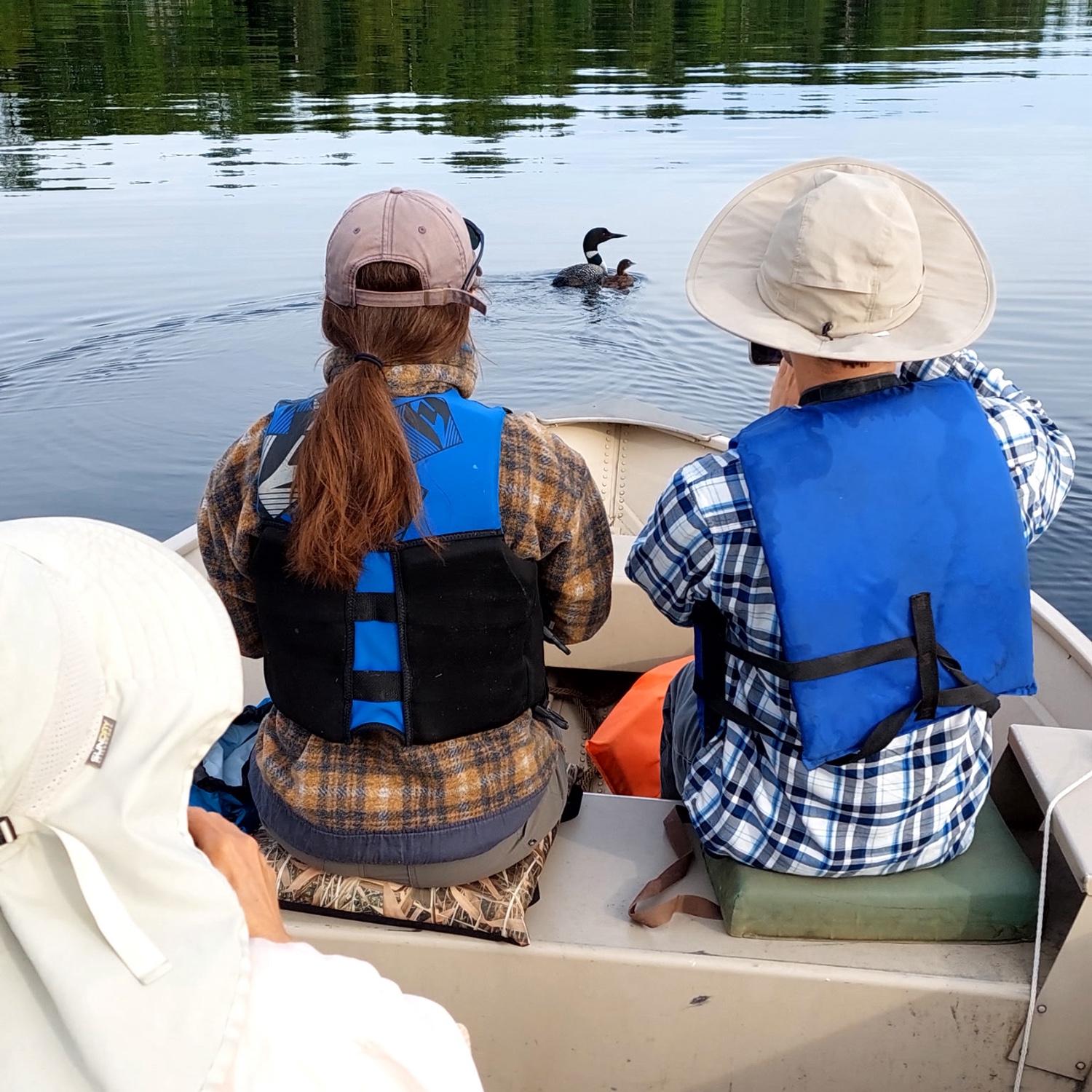 Participating in a Loon Survey with Uncle Aaron and Aunt Teresa - June, 2025.