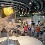 Louisiana Art & Science Museum