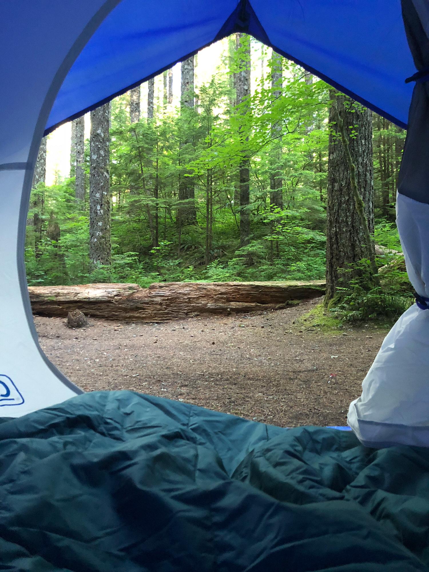 2018 Camping in Washington