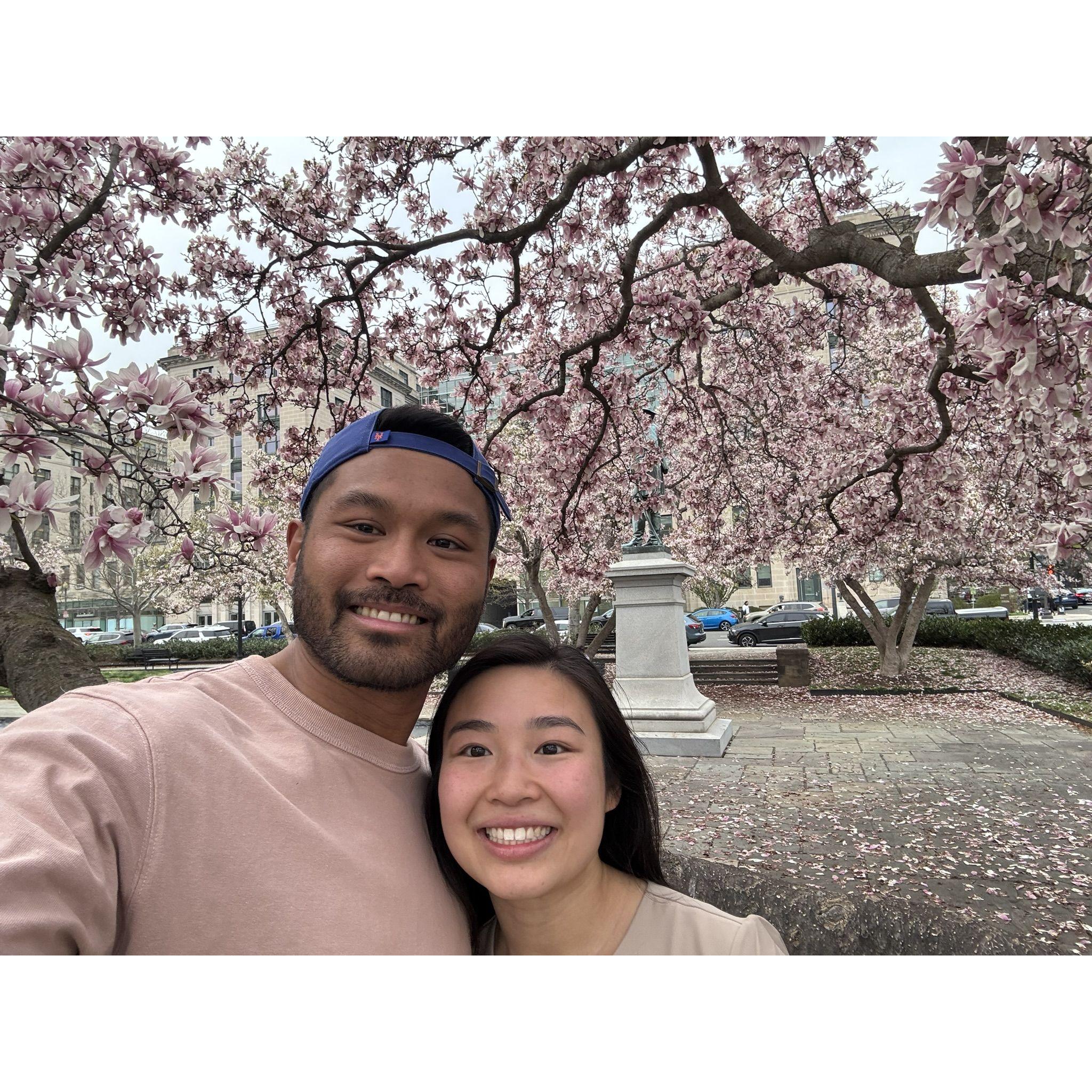 DC sleeps alone - Spring 2025