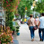 Chestnut Hill