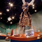 Museum of Florida History