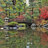 Anderson Japanese Gardens