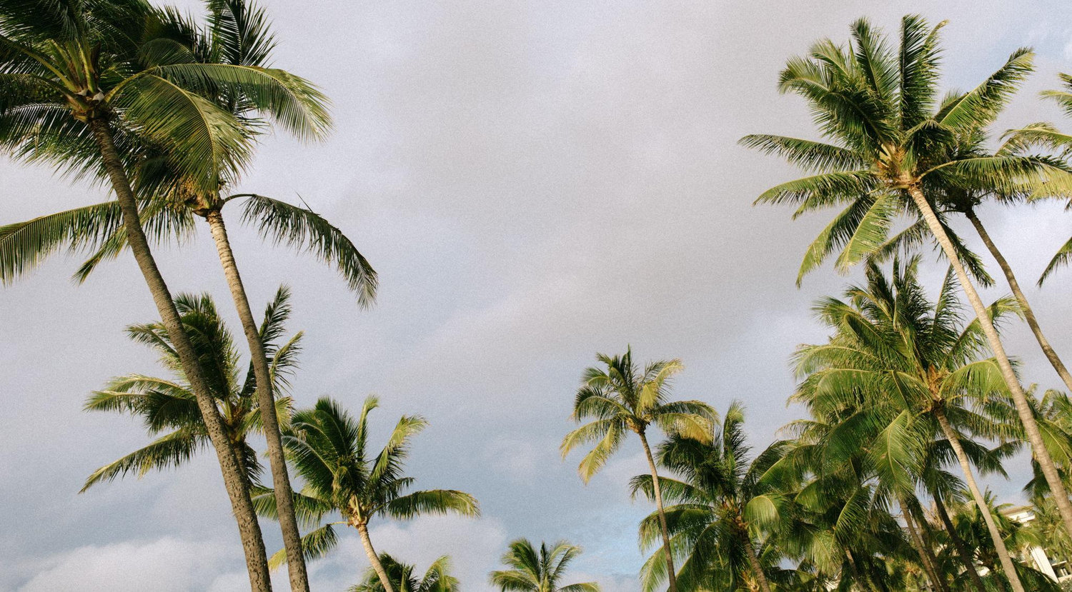 The Wedding Website of Erica Sanchez and Kepa Hamlin