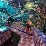 Ripley's Aquarium of the Smokies