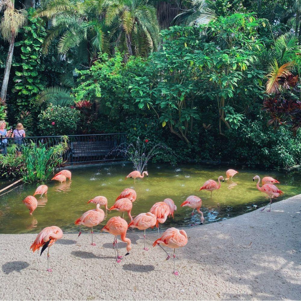 SUNKEN GARDENS