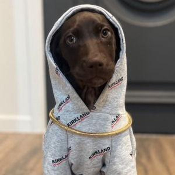 Tilly's Rehab Fund