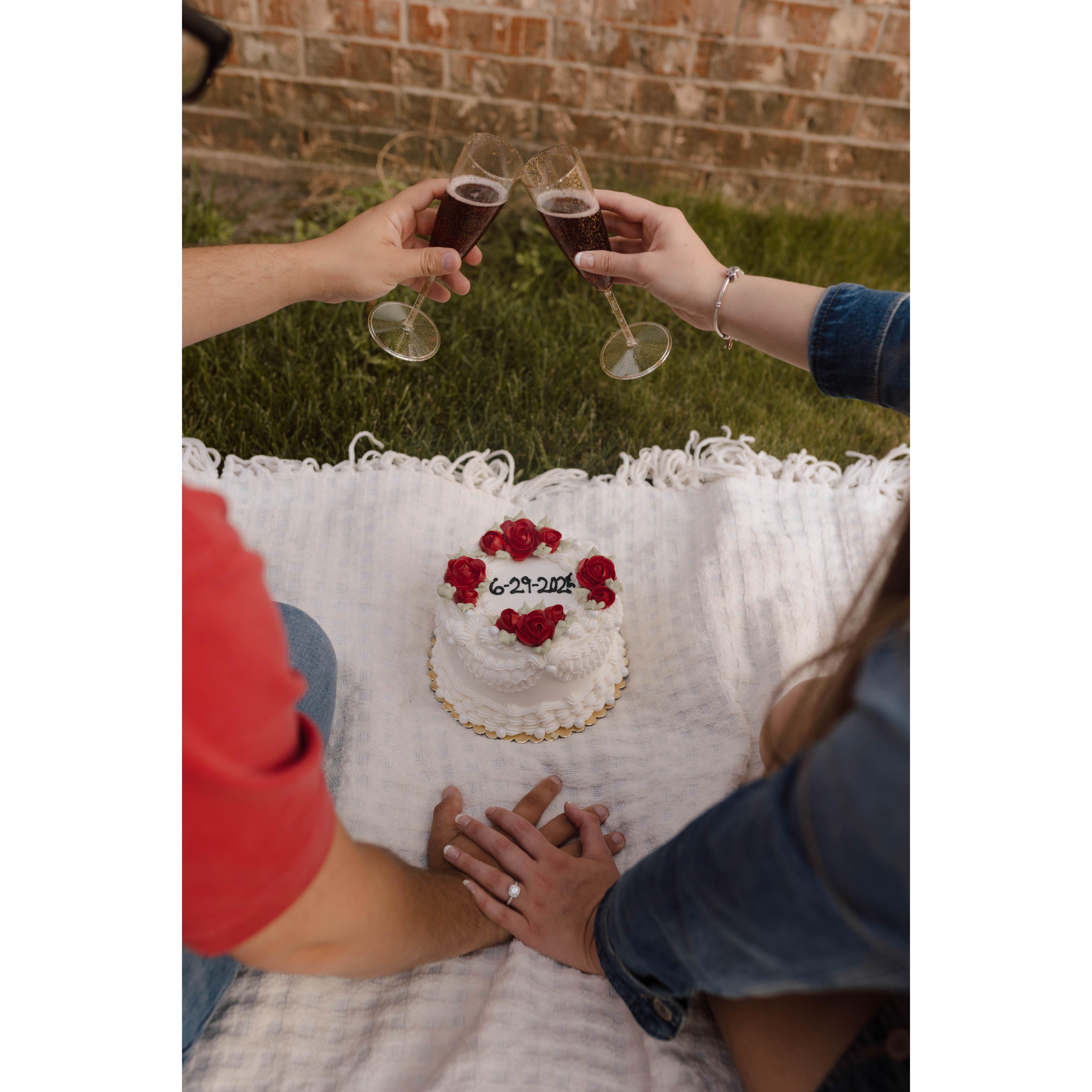 Our Engagement Photos