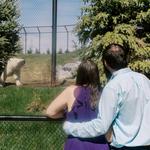 Wilder Institute/Calgary Zoo