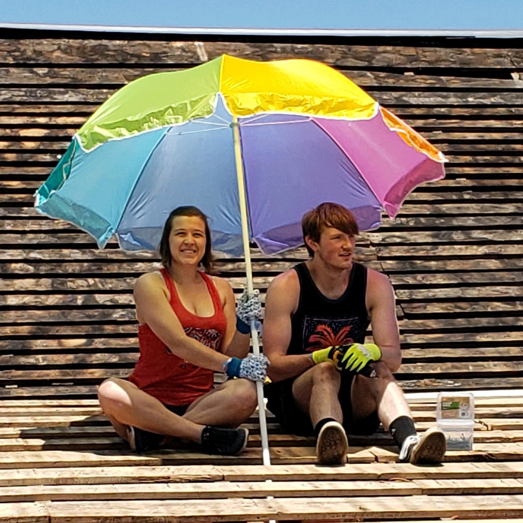 Shading Bailey on Nana Brenner's barn roof