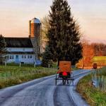 Simple Life Tours- Amish Country