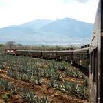 Tequila Jalisco Tours