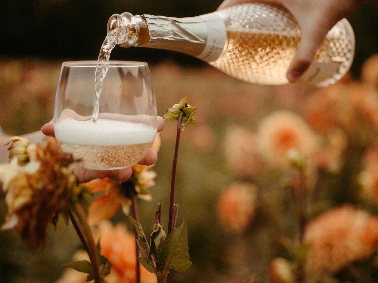 The Wedding Website of Melissa Kellogg and Phil LaCharite