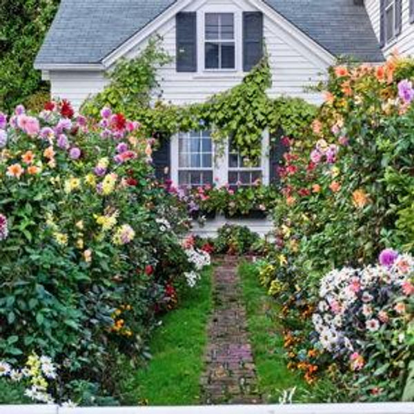 Our First Home Down Payment