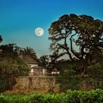 Jack London State Historic Park