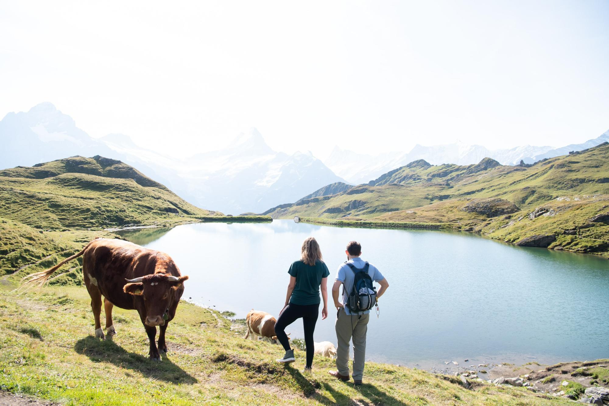 Grindelwald, Switzerland
