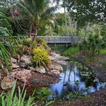 Mounts Botanical Gardens