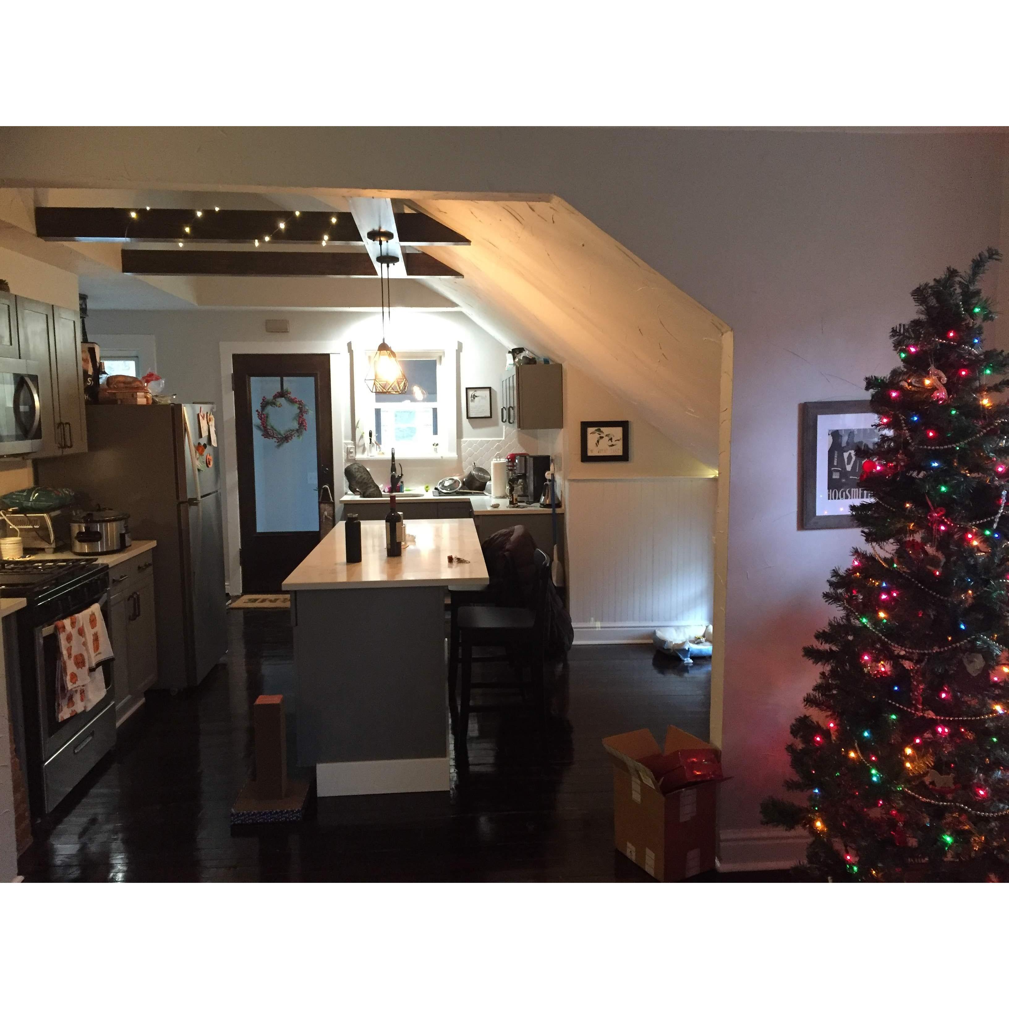 First Christmas in the old apartment