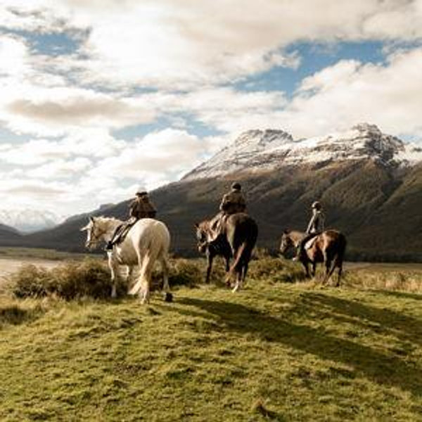 Honeymoon Excursion: Horseback Riding in Queenstown (for Katie)