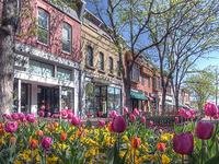The Pearl Street Mall